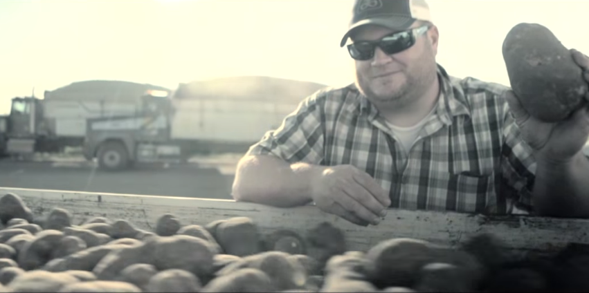 Potato farmer and potatoes